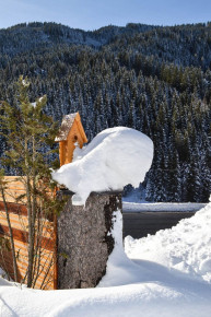 Pension Waldherr in Untertauern, Urlaub nahe Obertauern